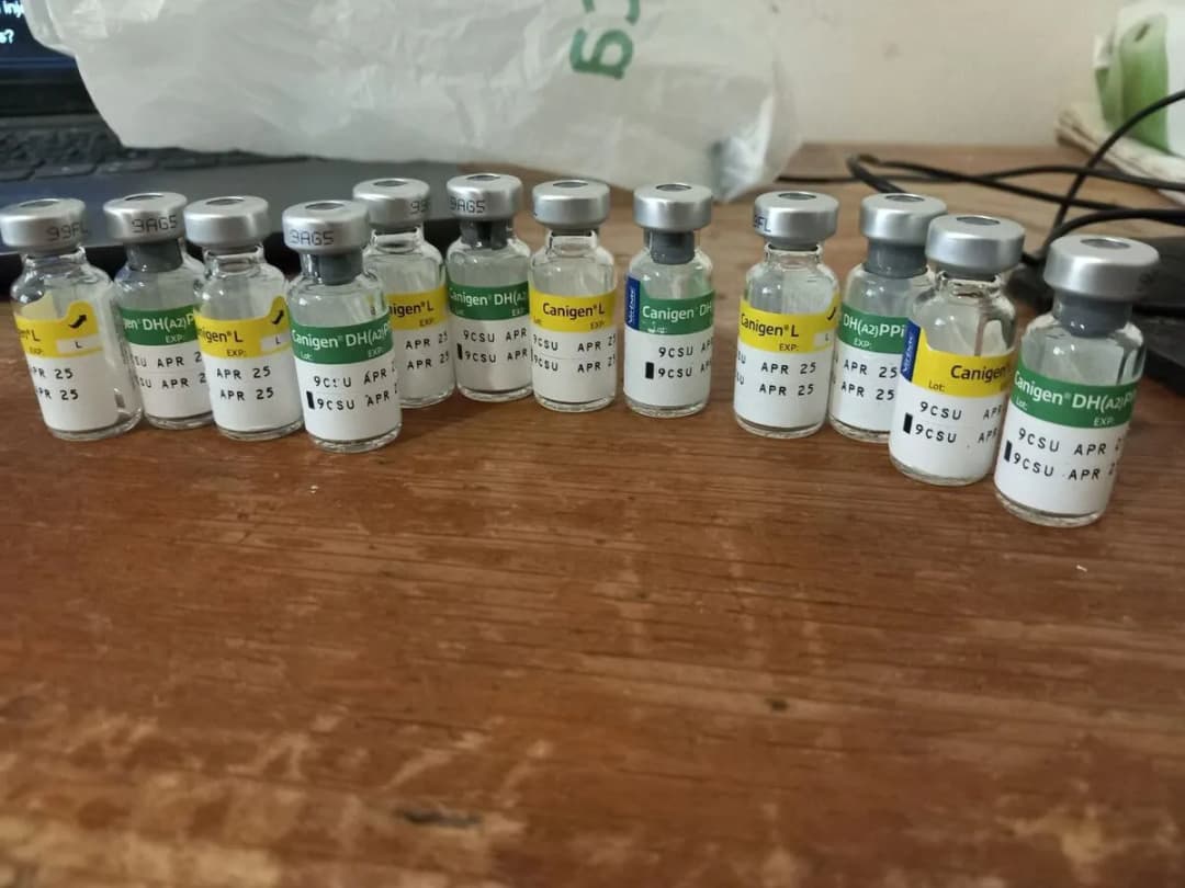 Vakcinacija i tretman protiv parazita