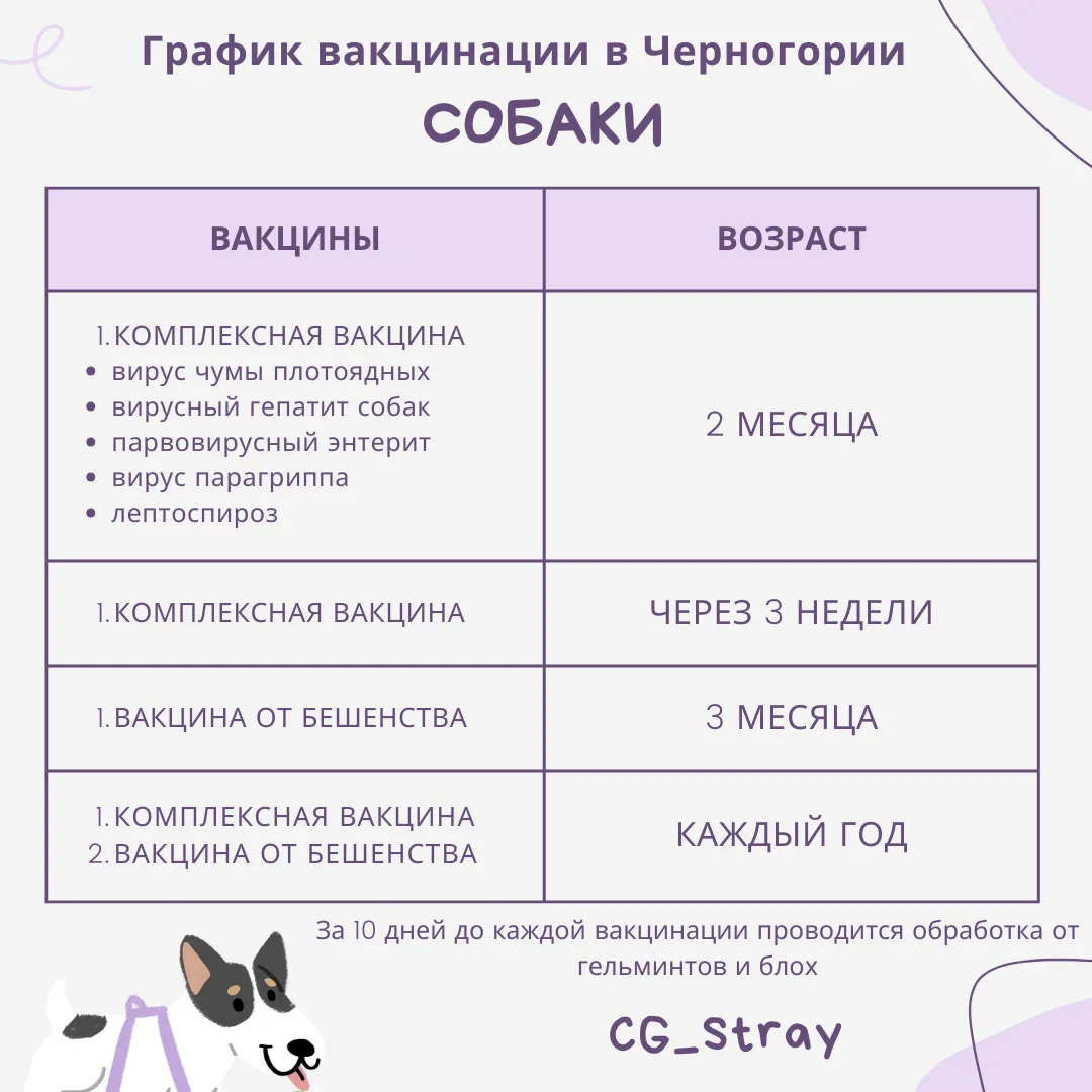 Вакцинация и обработка от паразитов