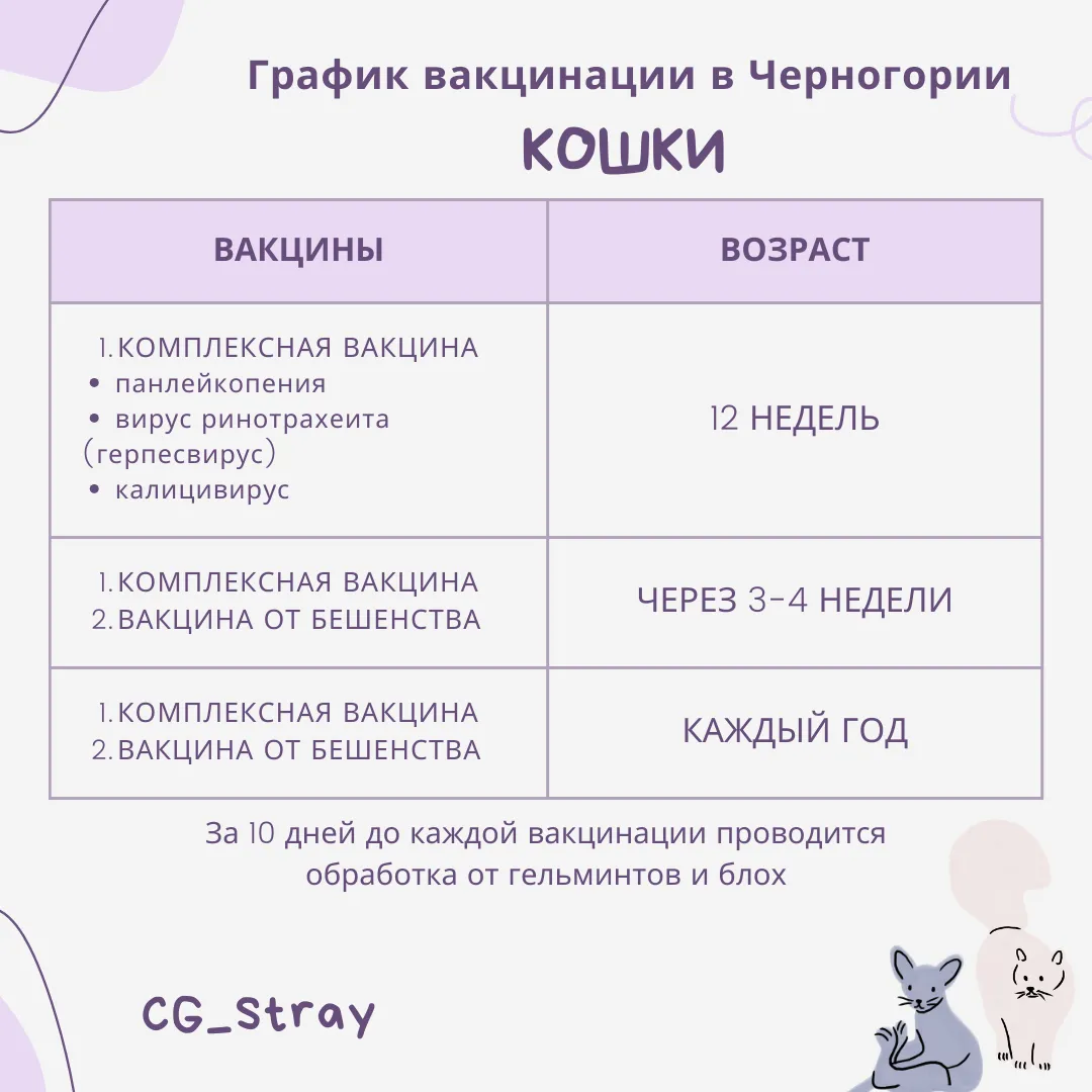 Вакцинация и обработка от паразитов