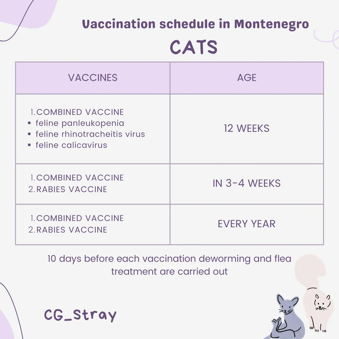 Vaccination and treatments in Montenegro