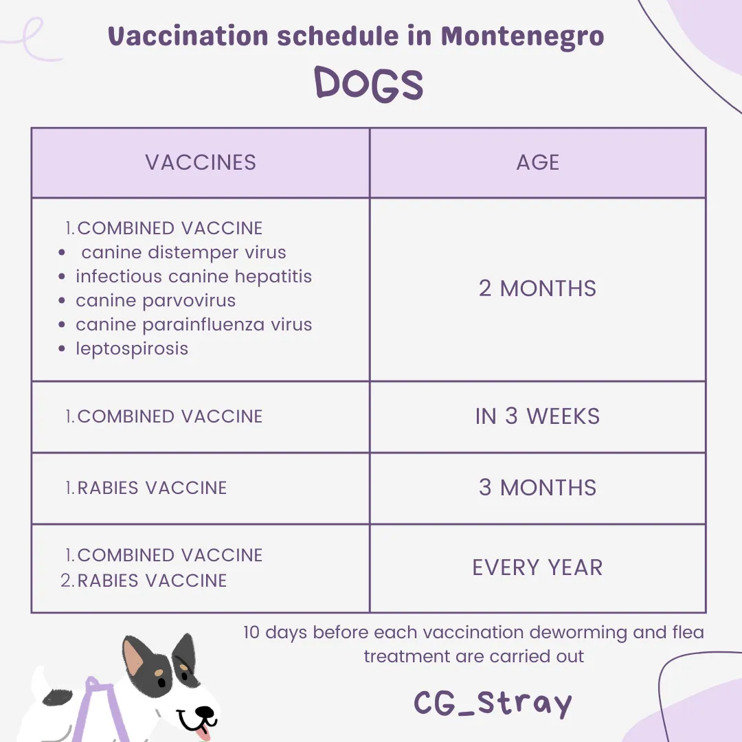 Vaccination and treatments in Montenegro